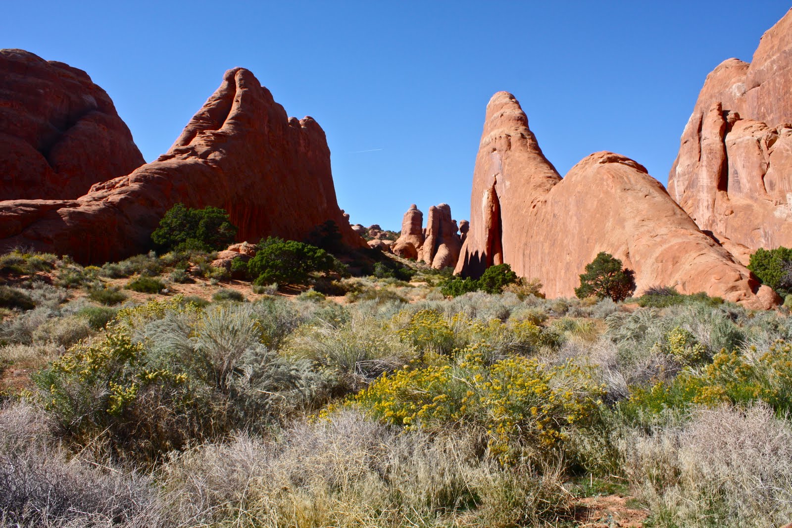 Rilwe Grand Teton and Arches National Parks