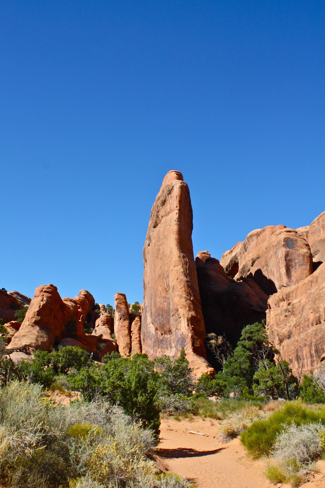 Rilwe Grand Teton and Arches National Parks