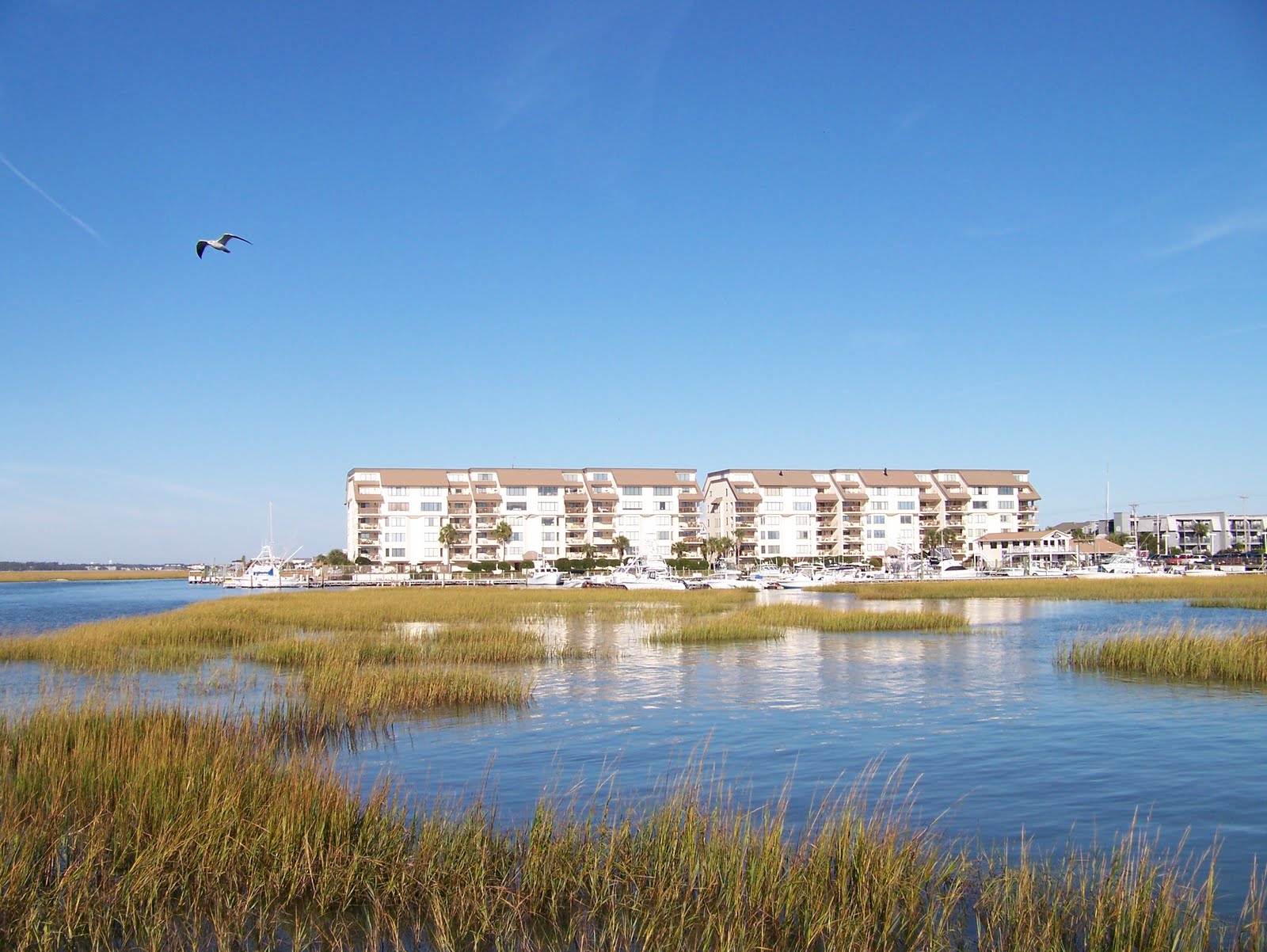 Garden City Beach Weather Coastal flooding impacting North Myrtle