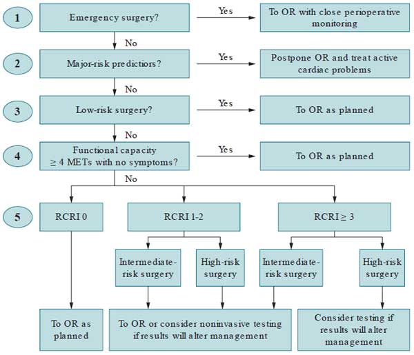 Cardiac Risk Assessment Prior to Noncardiac Surgery Case File
