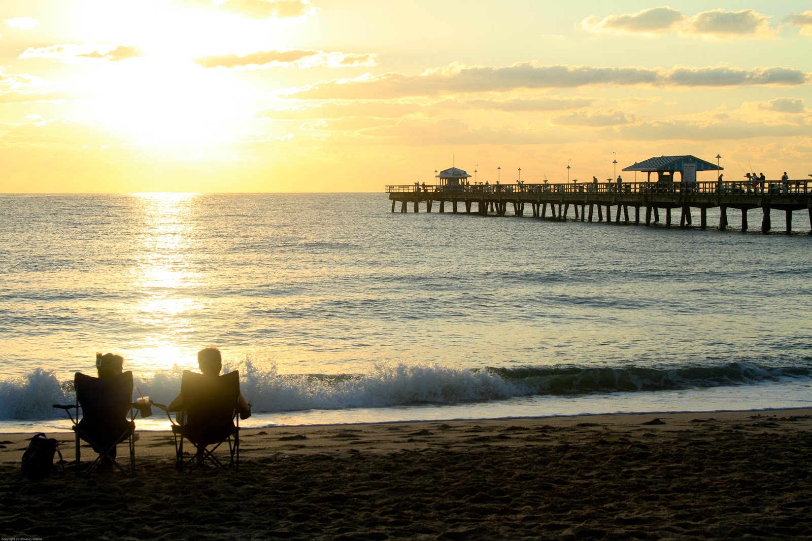 Wings & Wildflowers Ft. Lauderdale Beach at Sunrise