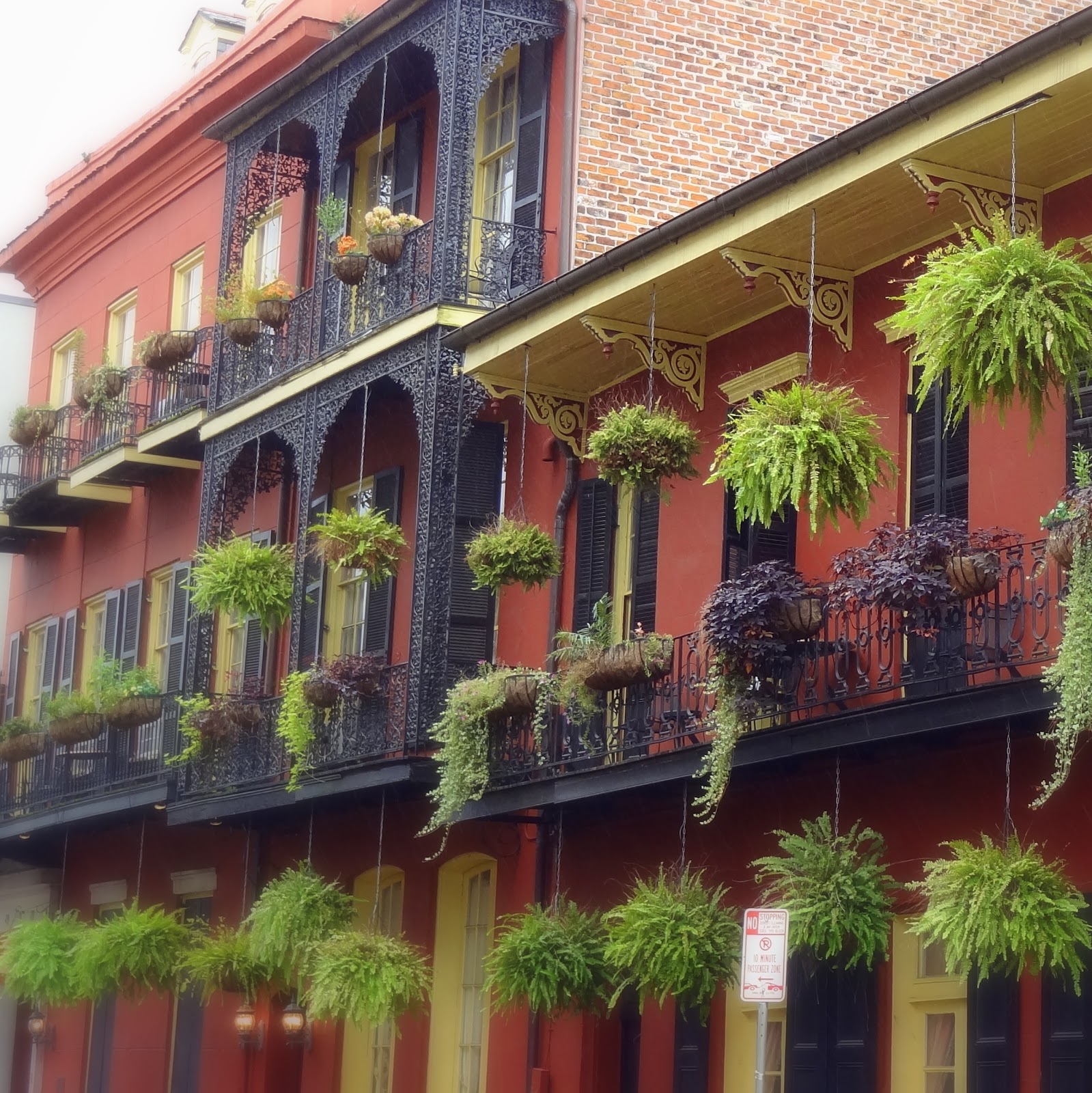 GYPSY YAYA Gypsy TravelsThe Olivier House Hotel New Orleans