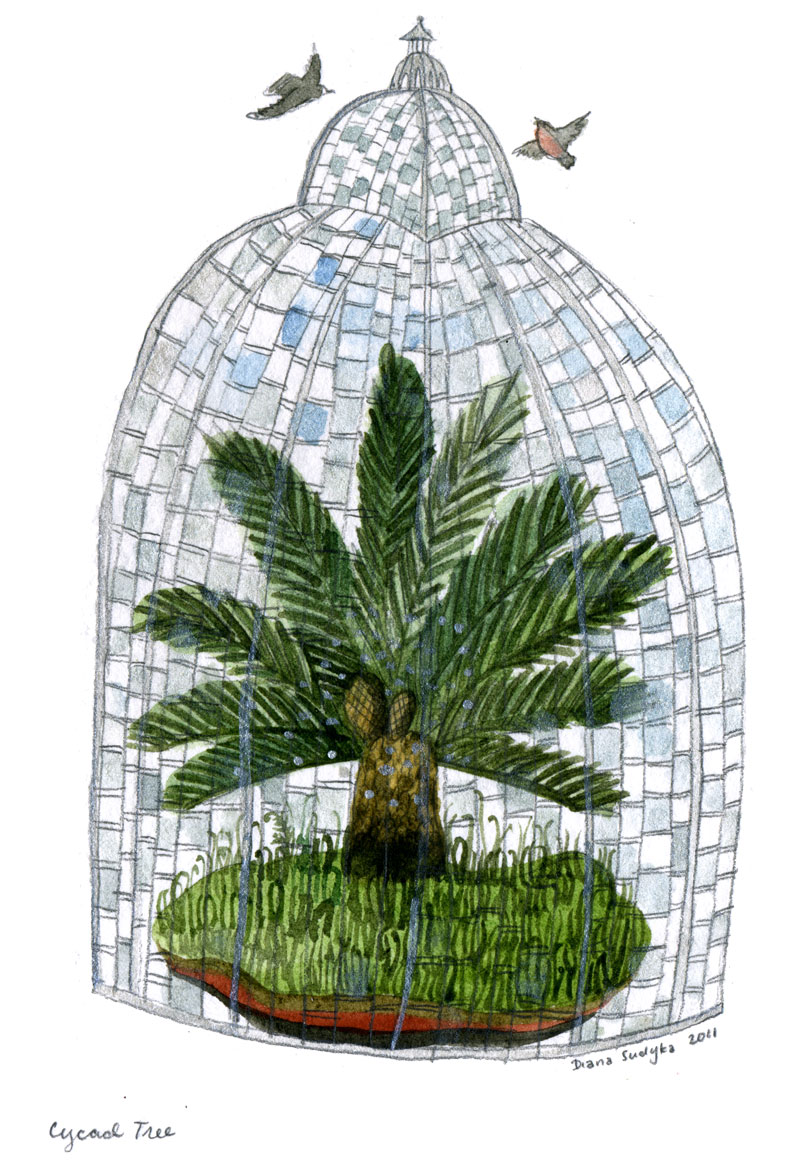 Garfield Park Conservatory