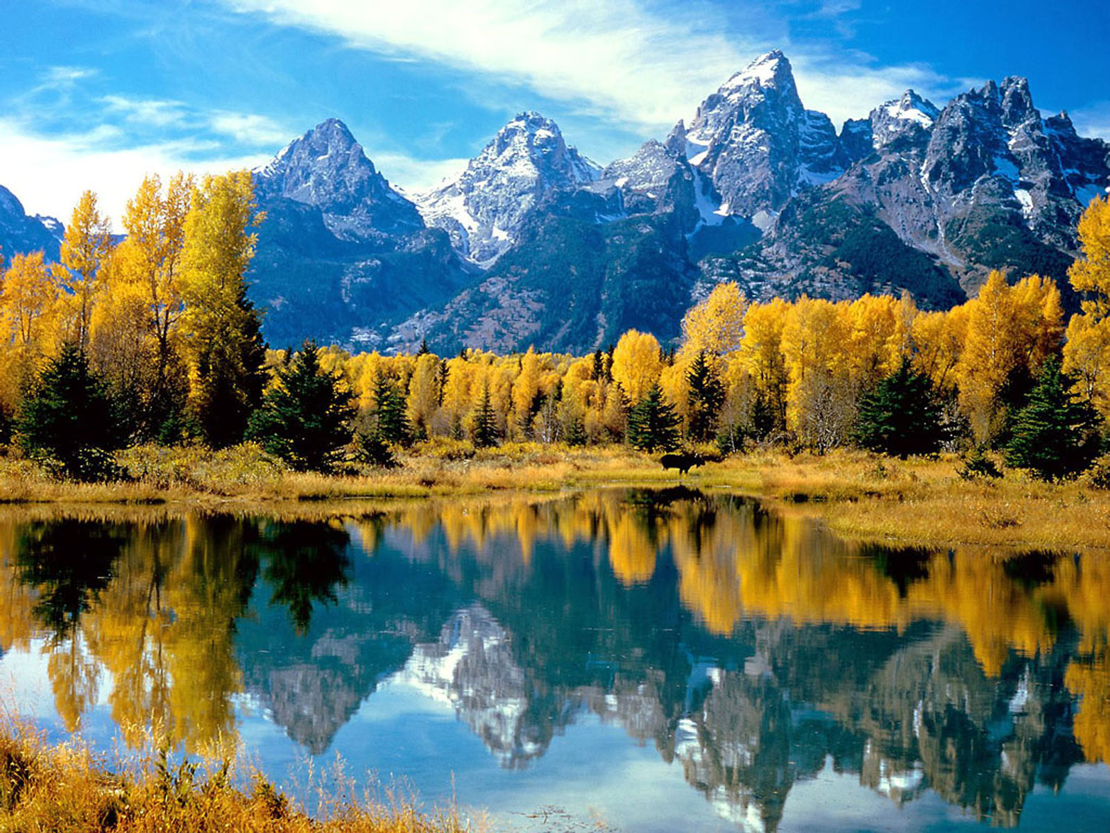 Grand Teton National Park Wallpapers