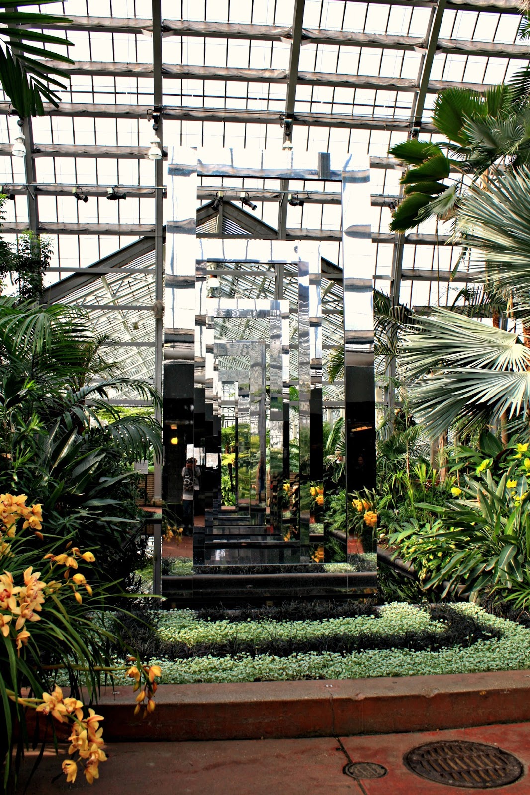 A Little Time and a Keyboard Indoor Tropical Splendor at Garfield Park