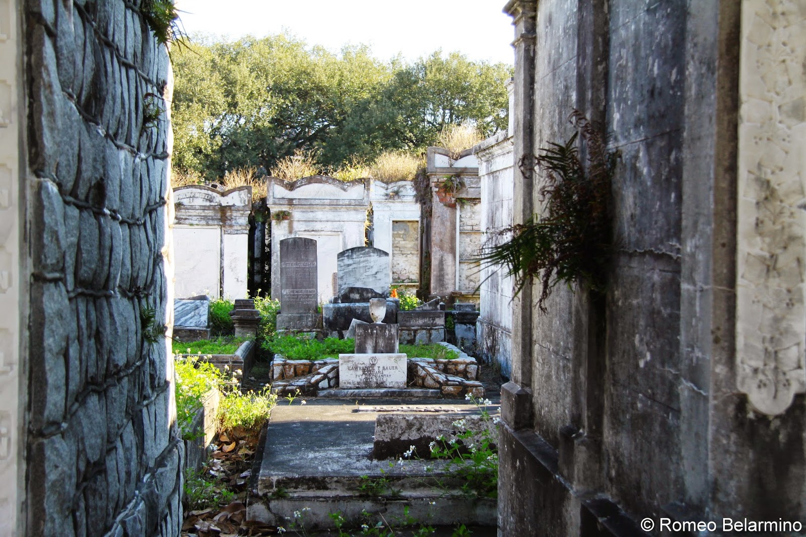 The Walking Tours of New Orleans Travel the World