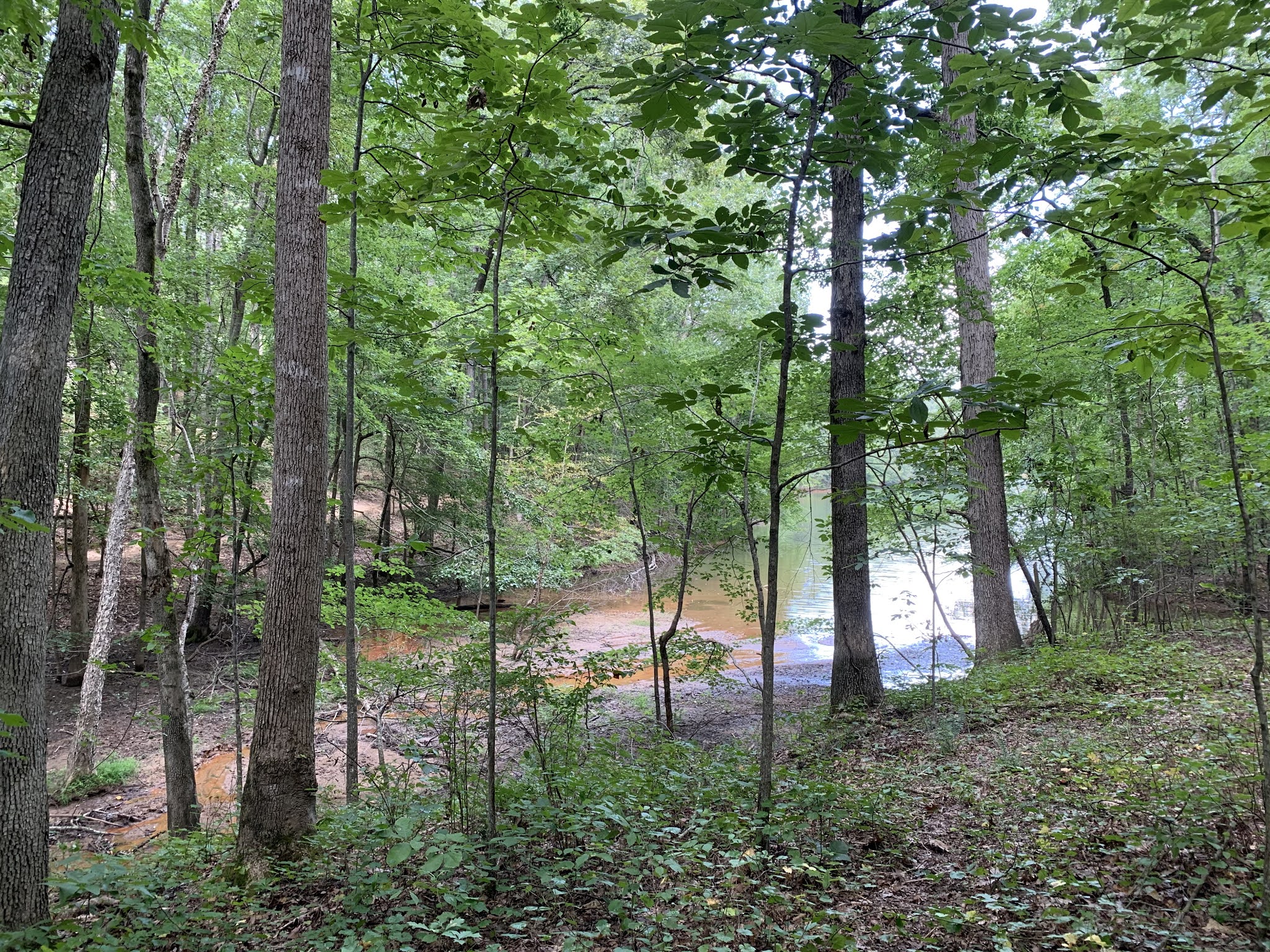 Weekend Wanderluster Charleston Park (Forsyth County,