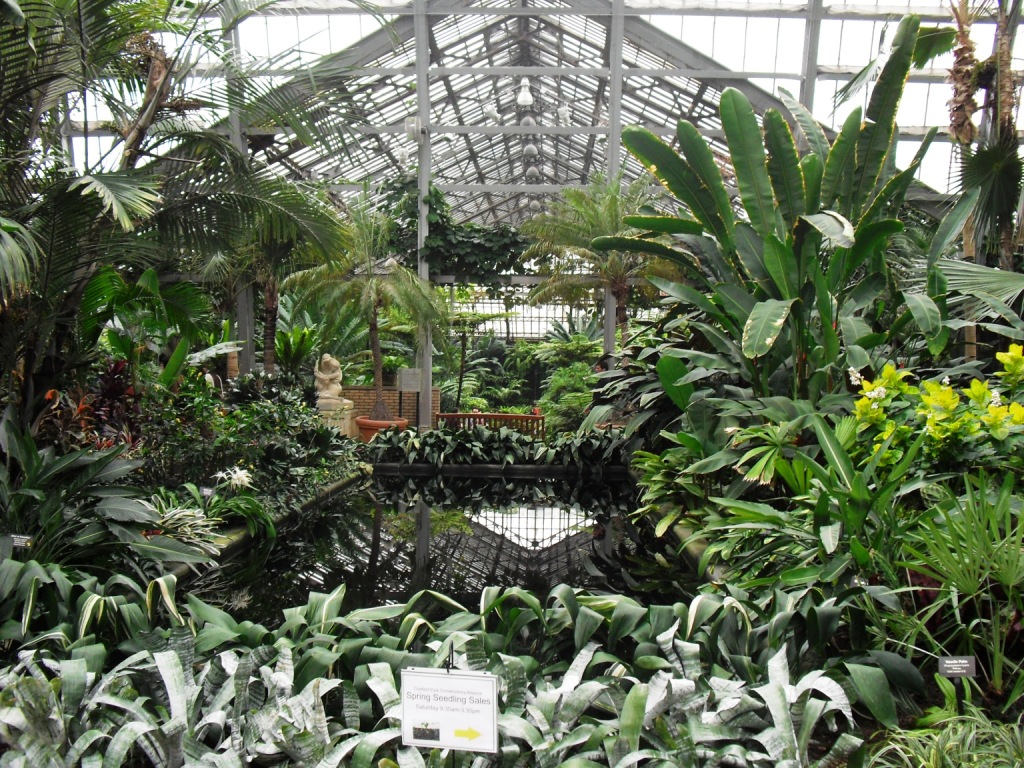 Life Among the Leaves Garfield Park Conservatory Severely Damaged by Hail