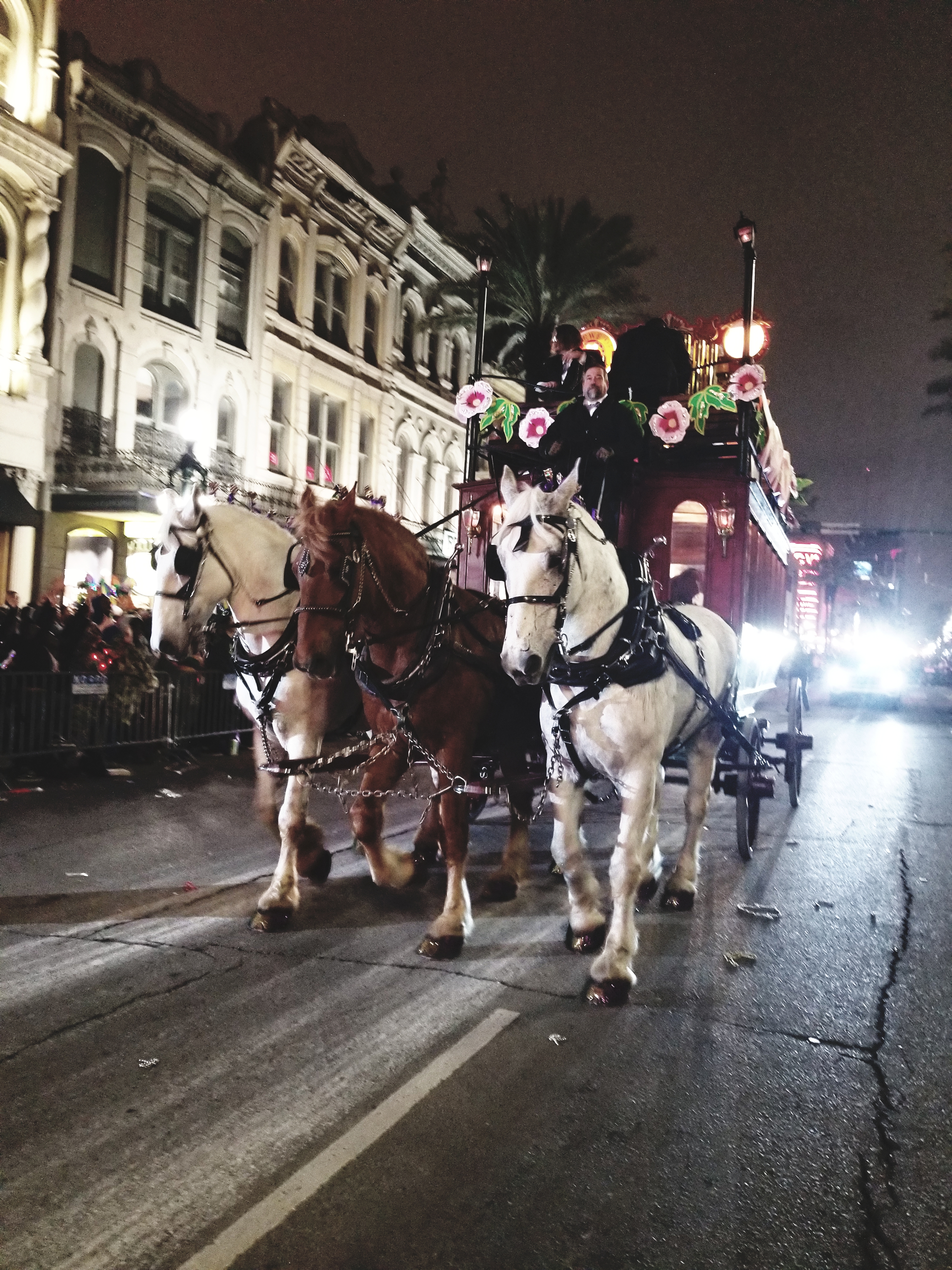 New Orleans Carriage Rides Cost change comin